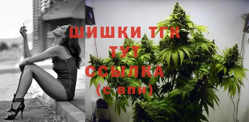 Бошки марихуана SATIVA & INDICA  мега онион  Карачаевск 